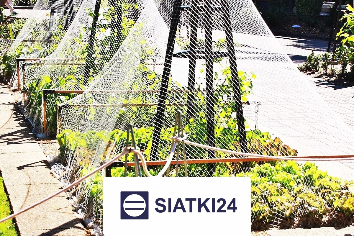   Siatki24.eu - Odpowiednie ogrodzenie grządek podwyższonych to skuteczne rozwiązanie ochronne. 