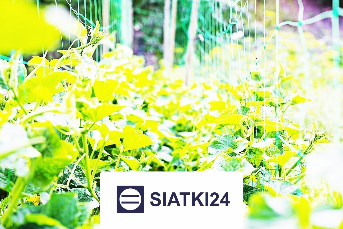 Ogrodzenie grządek podwyższonych do ochrony Siatki24.eu - Ogrodzenie grządek podwyższonych do ochrony