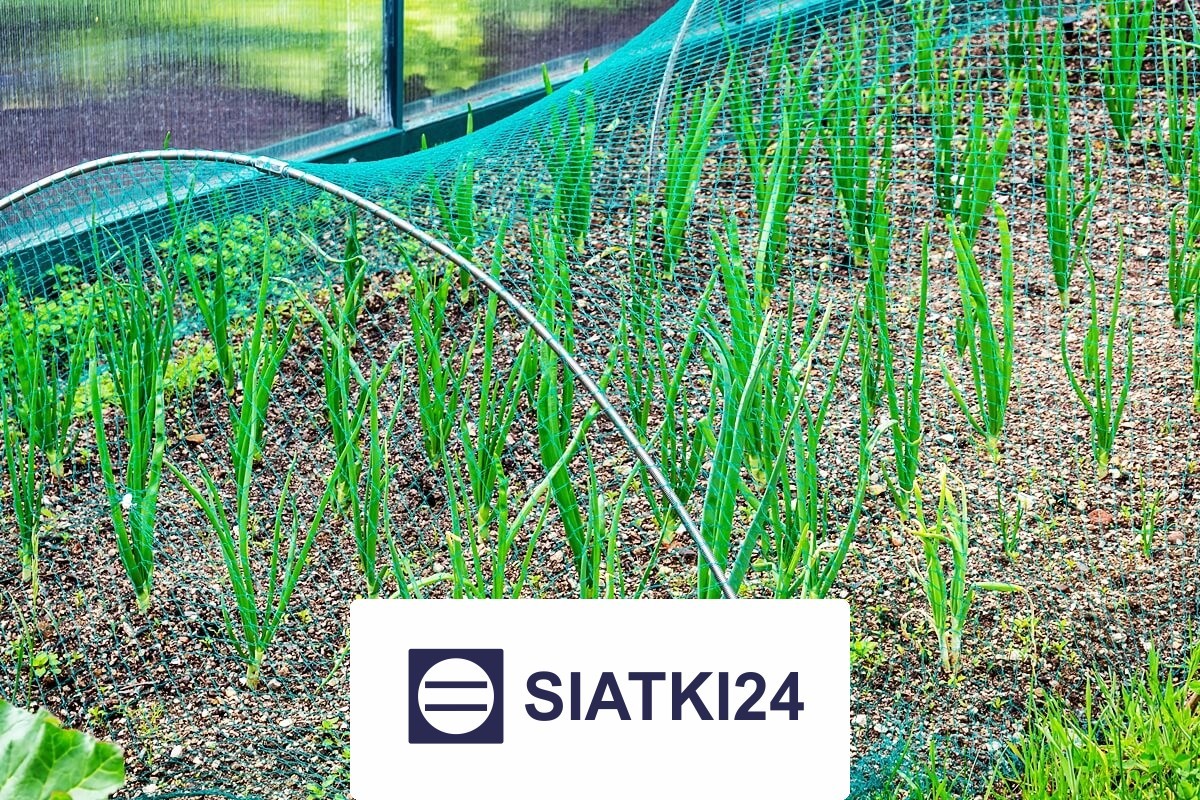   Siatki24.eu - Solidne siatki ochronne do ogrodzenia grządek podwyższonych, wybierane do optymalnego zabezpieczenia ogrodu. 