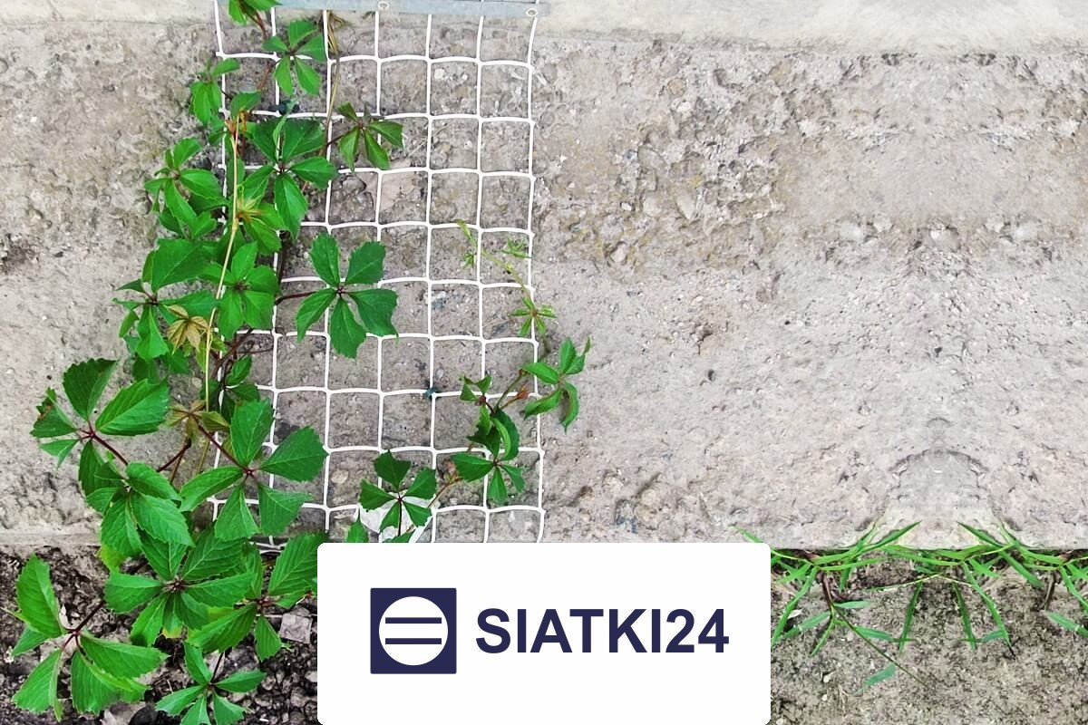   Siatki24.eu - Elementy do budowy trejaży z siatki - solidne i trwałe rozwiązanie optymalne do wykonawstwa ogrodowych konstrukcji. 