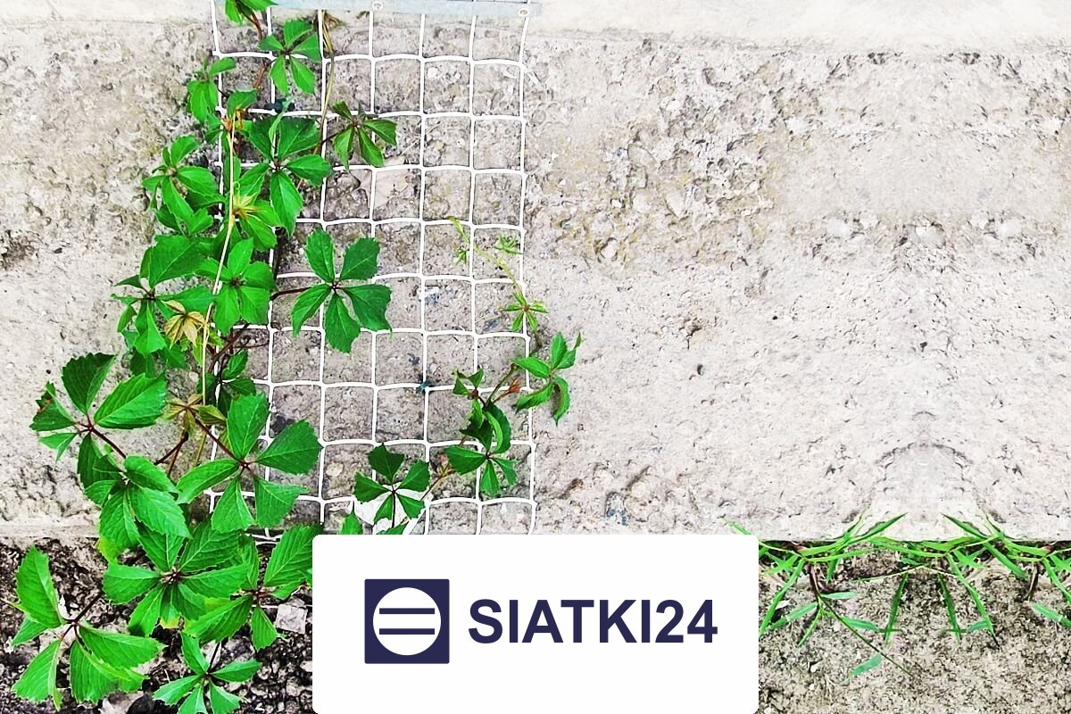 Ogrodzenie grządek podwyższonych do ochrony Siatki24.eu - Ogrodzenie grządek podwyższonych do ochrony