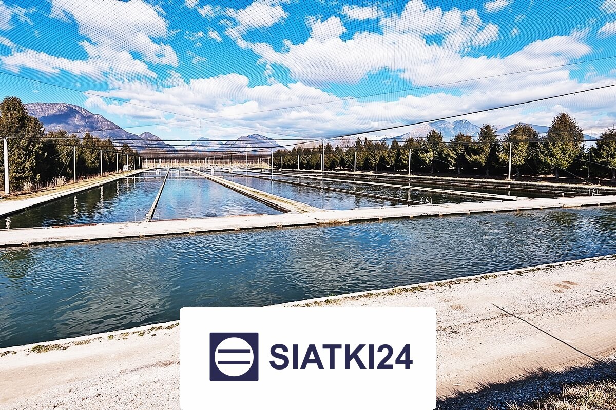 Siatka na akweny i zbiorniki do zabezpieczenia Siatki24.eu - Siatka na akweny i zbiorniki do zabezpieczenia
