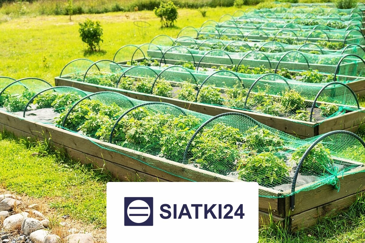 Ogrodzenie do ochrony grządek podwyższonych Siatki24.eu - Ogrodzenie do ochrony grządek podwyższonych