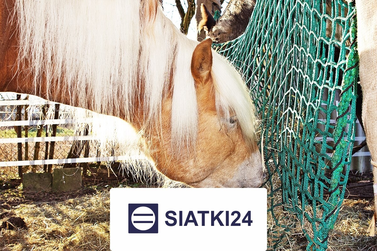 Siatka na siano dla koni — wytrzymałe i tanie rozwiązanie w kształcie kwadratu z oczkami 4,5x4,5 cm Siatki24.eu - Siatka na siano dla koni — wytrzymałe i tanie rozwiązanie w kształcie kwadratu z oczkami 4,5x4,5 cm