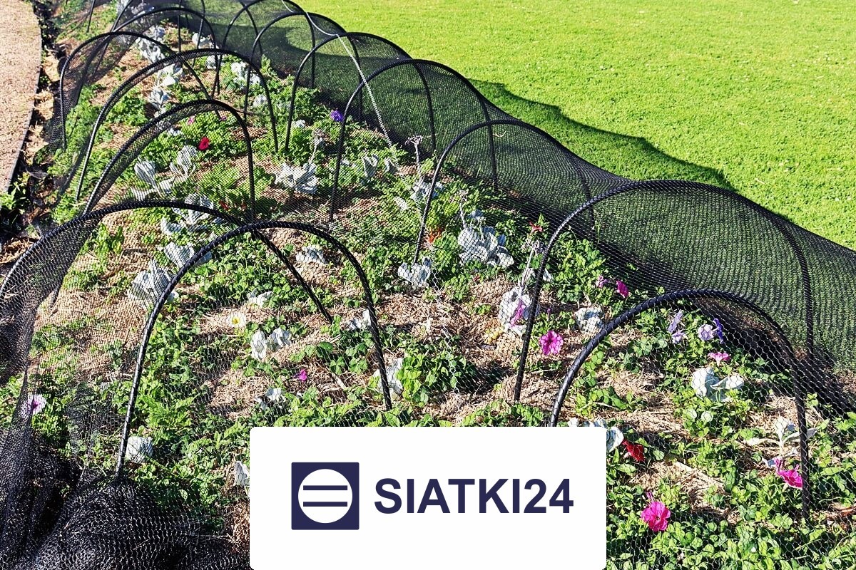   Siatki24.eu - Najczęściej stosowane siatki ochronne do ogrodzenia grządek podwyższonych — skuteczne rozwiązanie 
