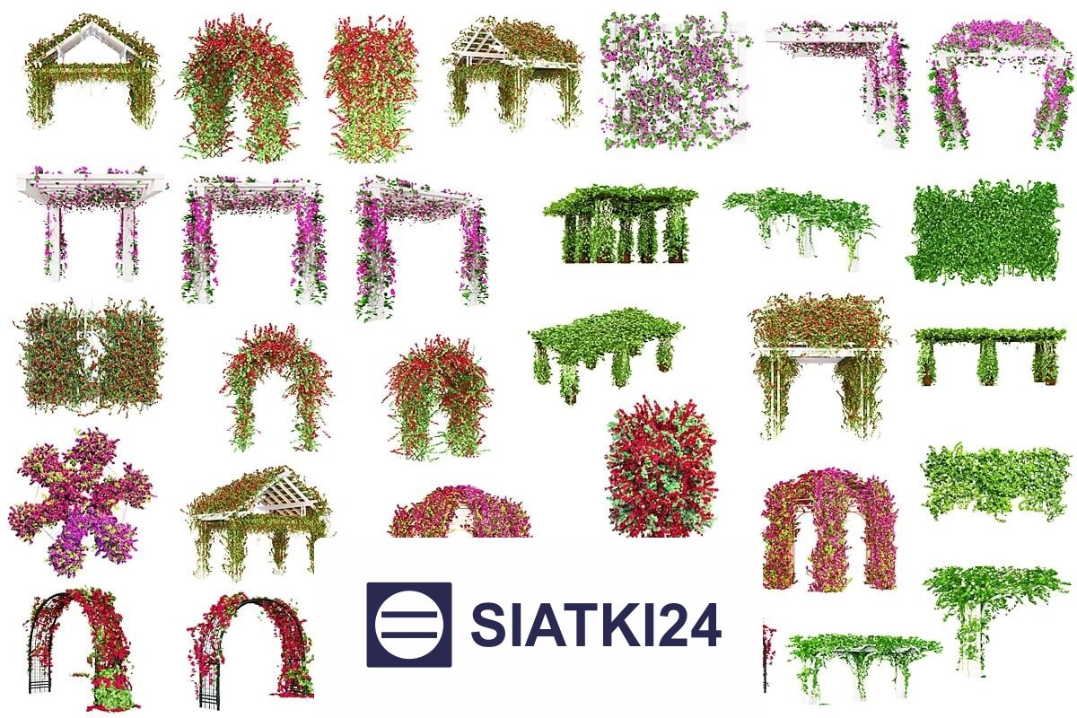   Siatki24.eu - Siatka do budowy trejaży na wymiar - elegancja i funkcjonalność dla rosnących roślin 