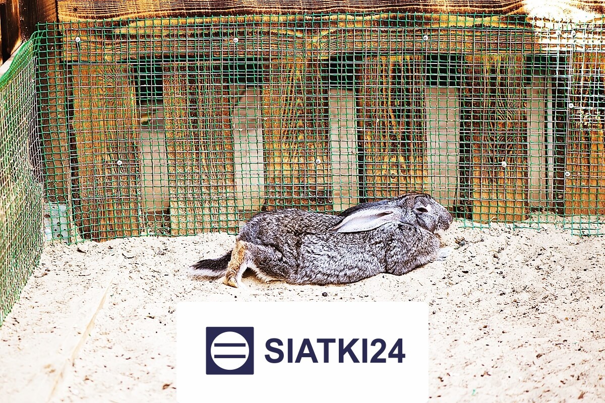 Siatka do hodowli królików – skuteczne i wytrzymałe rozwiązanie ochronne Siatki24.eu - Siatka do hodowli królików – skuteczne i wytrzymałe rozwiązanie ochronne