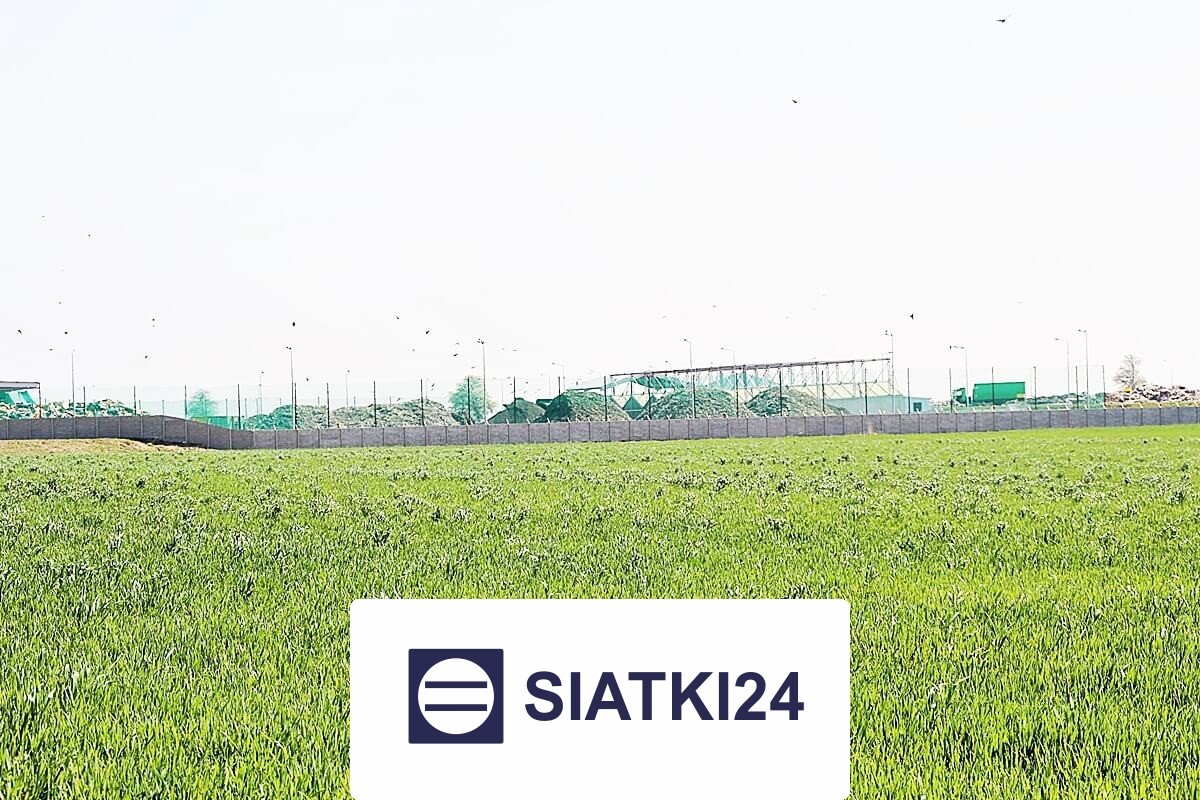 Zadaszenia z siatki placu — solidne i optymalne rozwiązanie do efektywnej organizacji magazynu Siatki24.eu - Zadaszenia z siatki placu — solidne i optymalne rozwiązanie do efektywnej organizacji magazynu