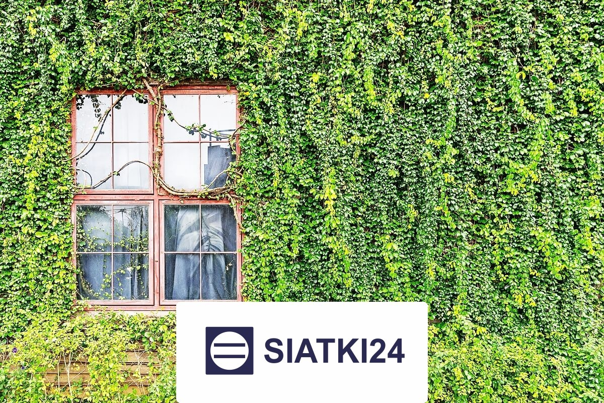   Siatki24.eu - Siatka na ścianę do zabezpieczenia roślin pnących 