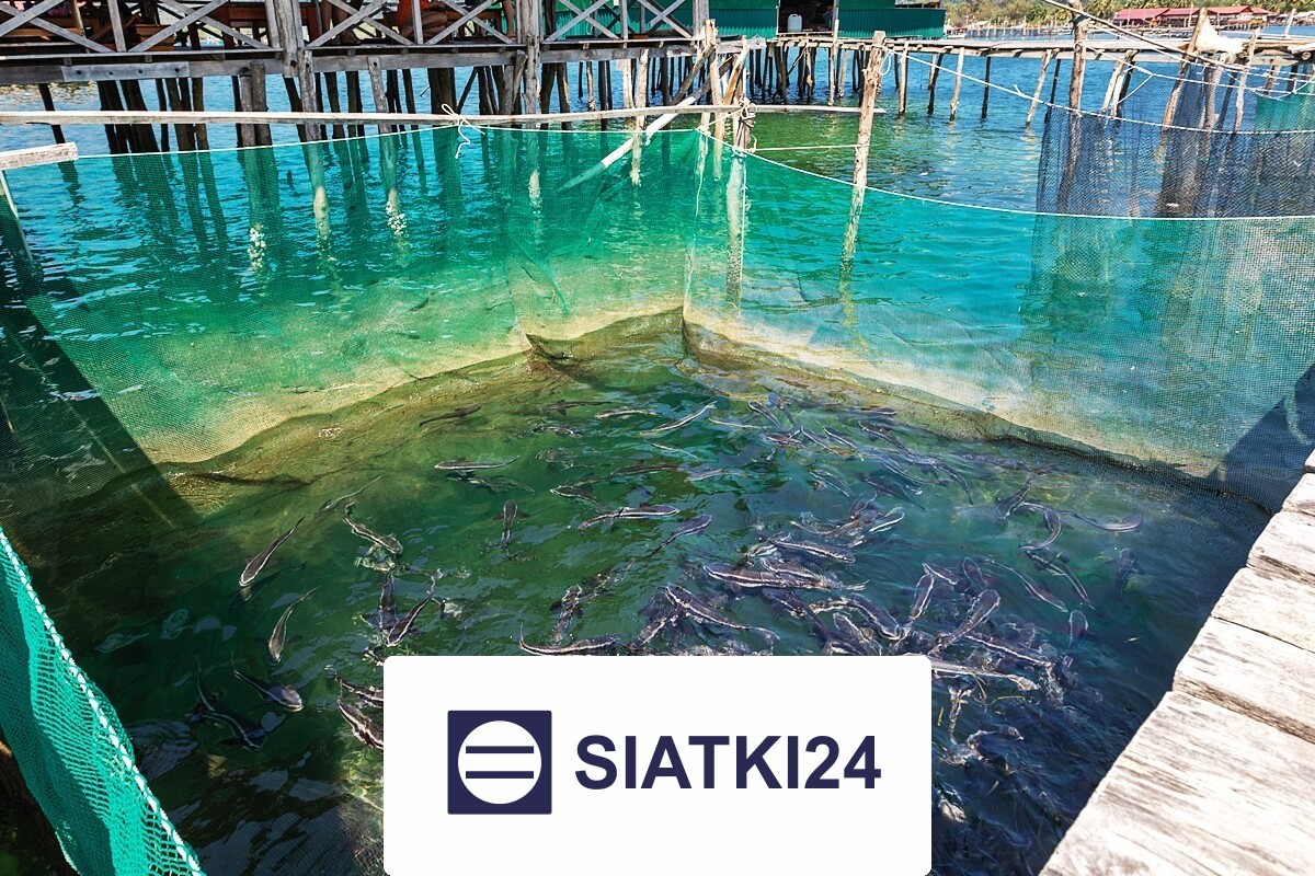 Siatka do hodowli ryb na wymiar Siatki24.eu - Siatka do hodowli ryb na wymiar