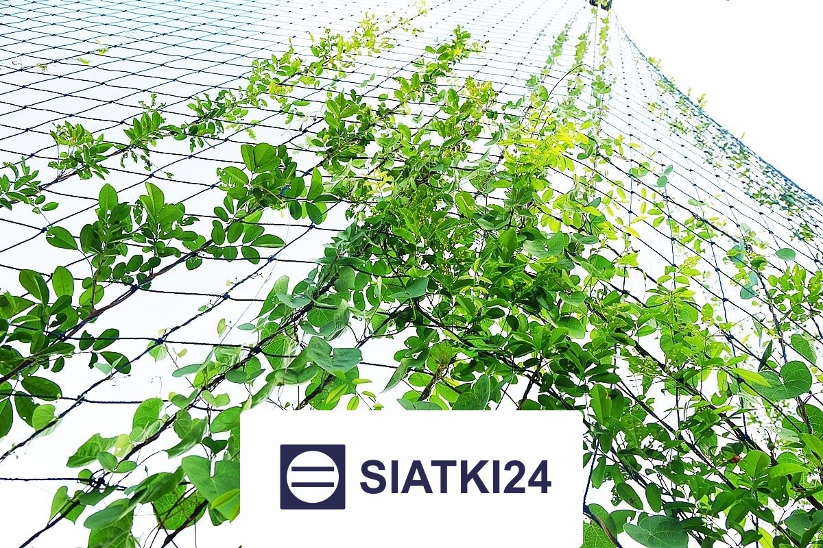  Siatki24.eu - Ogrodzenie grządek podwyższonych do ochrony 