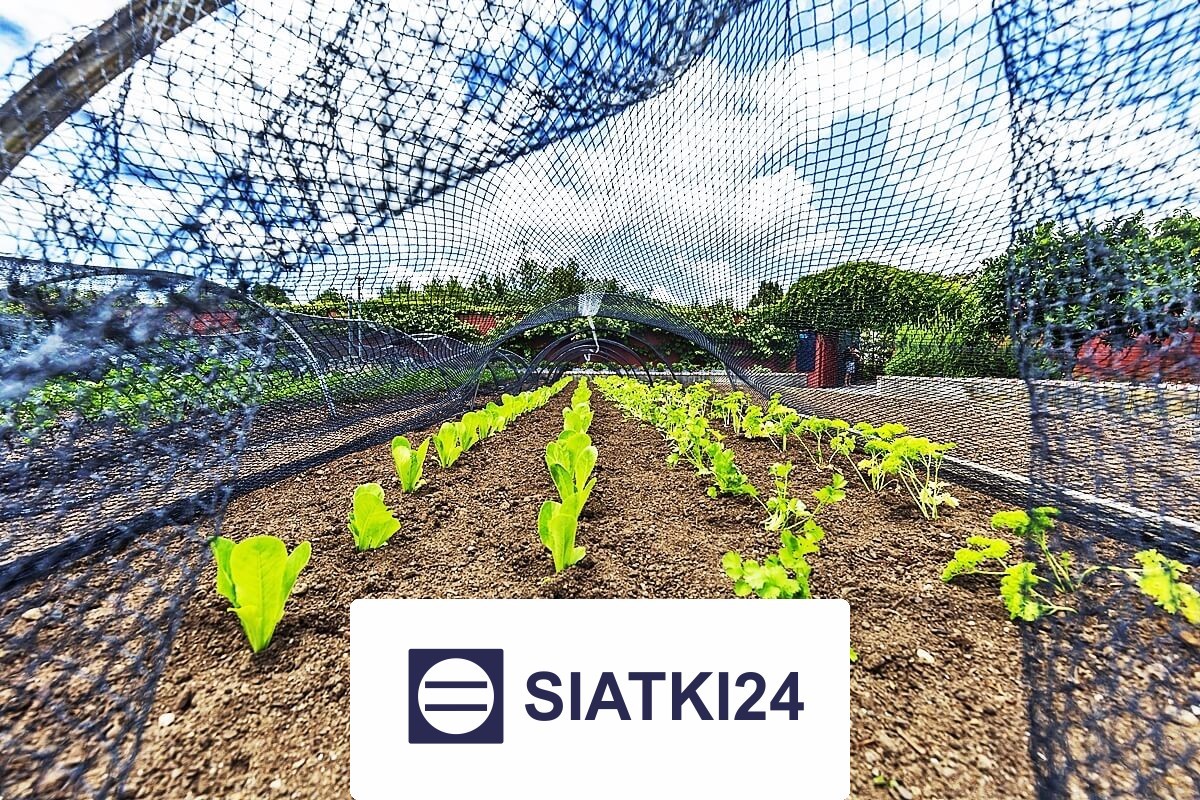 Ogrodzenie do zabezpieczenia podwyższonych grządek Siatki24.eu - Ogrodzenie do zabezpieczenia podwyższonych grządek