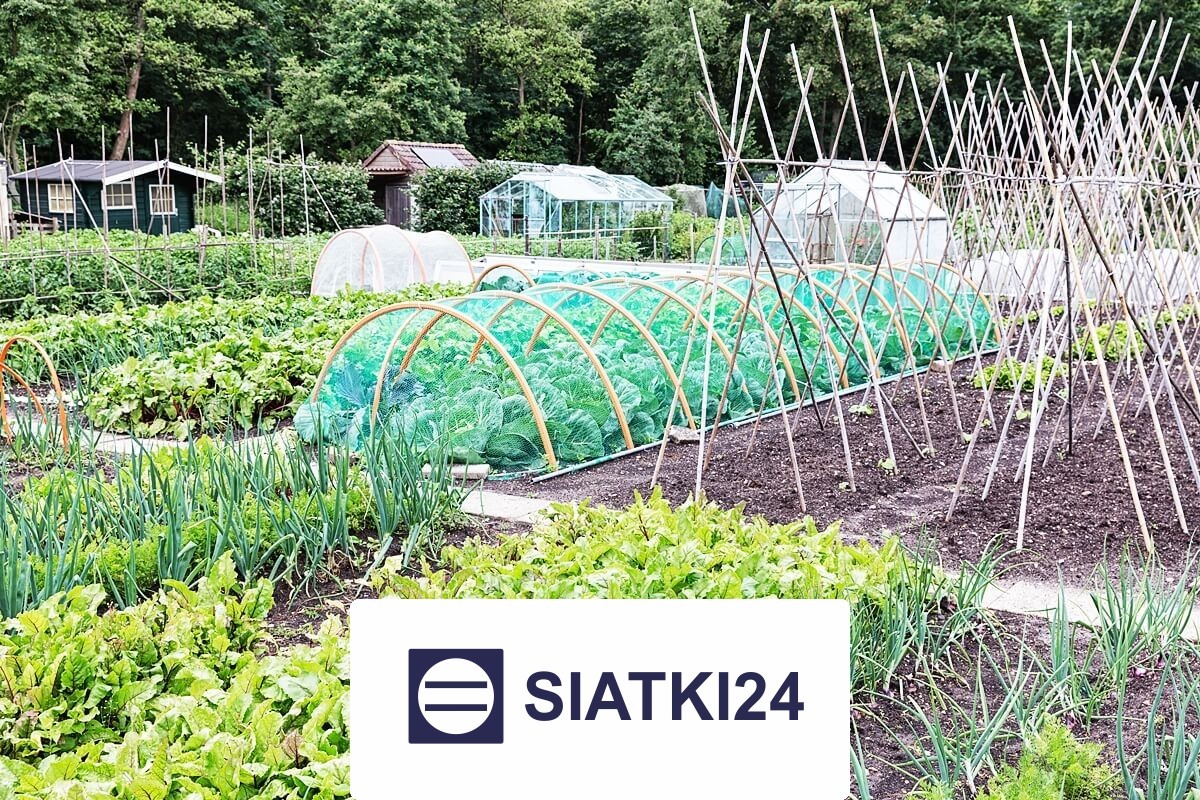   Siatki24.eu - Ogrodzenie do podwyższonych grządek na wymiar 