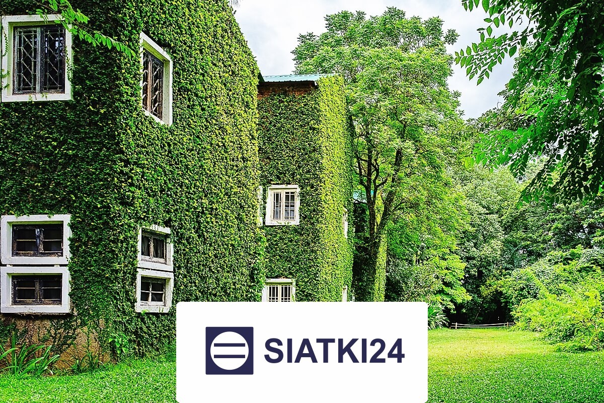 Siatka na ścianę dla roślin do zabezpieczenia pnączy Siatki24.eu - Siatka na ścianę dla roślin do zabezpieczenia pnączy