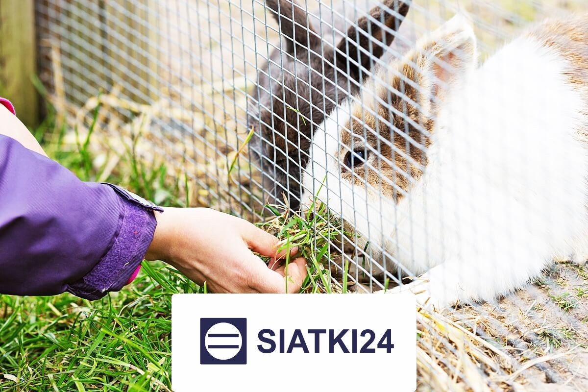 Siatka do hodowli królików na wymiar Siatki24.eu - Siatka do hodowli królików na wymiar