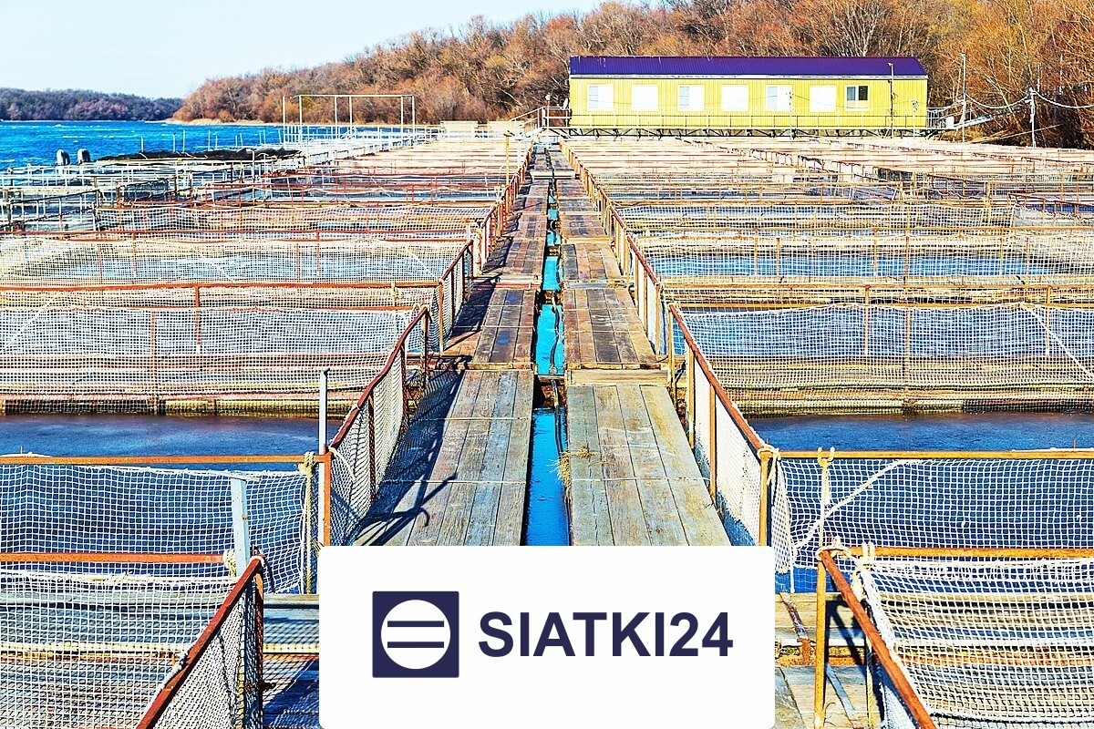 Siatki do hodowli ryb – solidne i trwałe, optymalne do wykorzystania w realizacji zadań hodowlanych. Siatki24.eu - Siatki do hodowli ryb – solidne i trwałe, optymalne do wykorzystania w realizacji zadań hodowlanych.