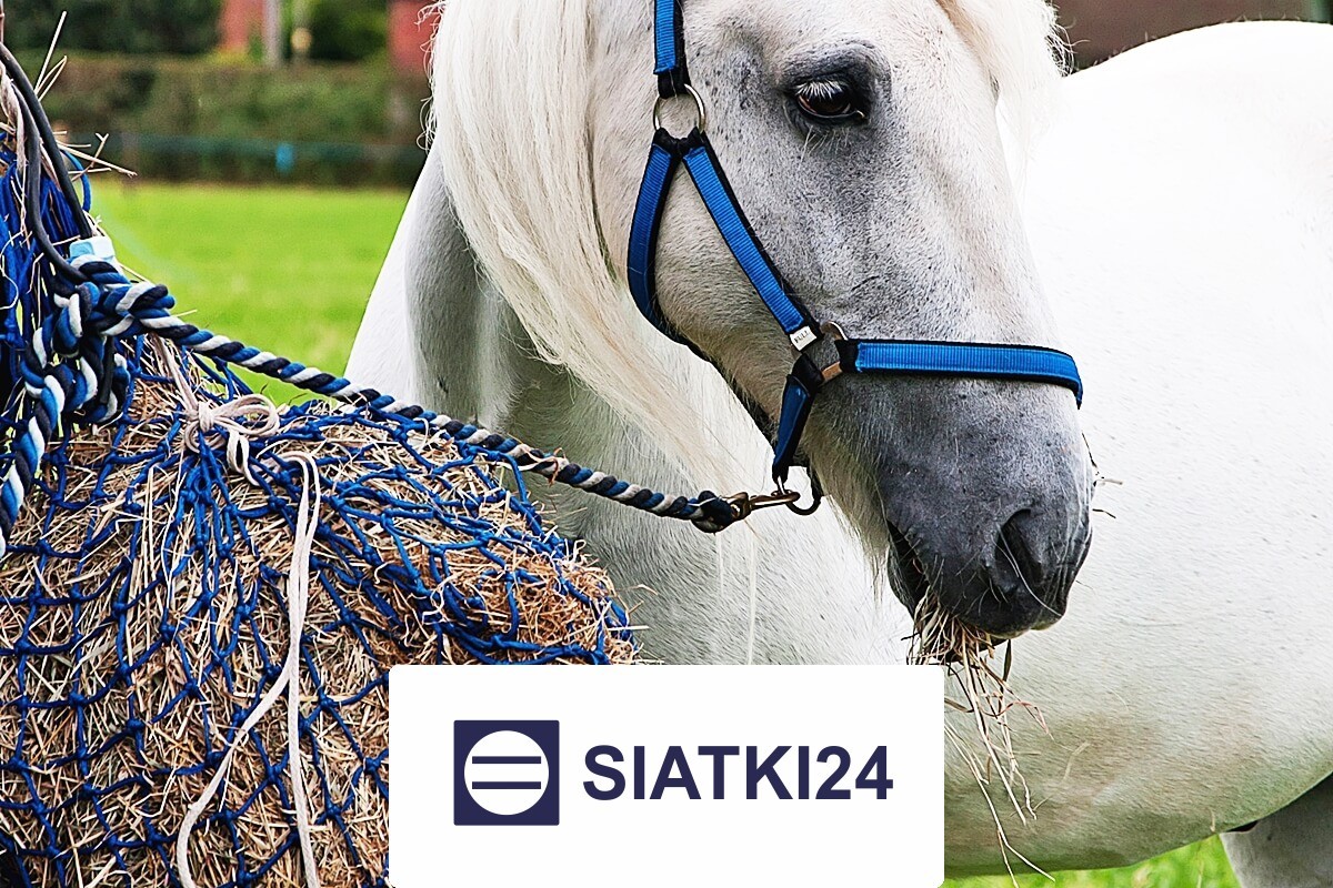 Siatka na siano dla koni do ochrony paszy Siatki24.eu - Siatka na siano dla koni do ochrony paszy