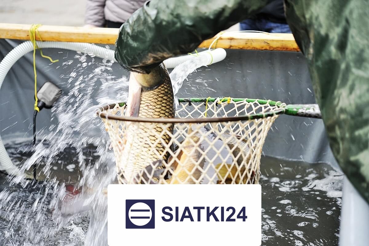Siatka do hodowli ryb na wymiar — skuteczna ochrona przestrzeni wodnych Siatki24.eu - Siatka do hodowli ryb na wymiar — skuteczna ochrona przestrzeni wodnych
