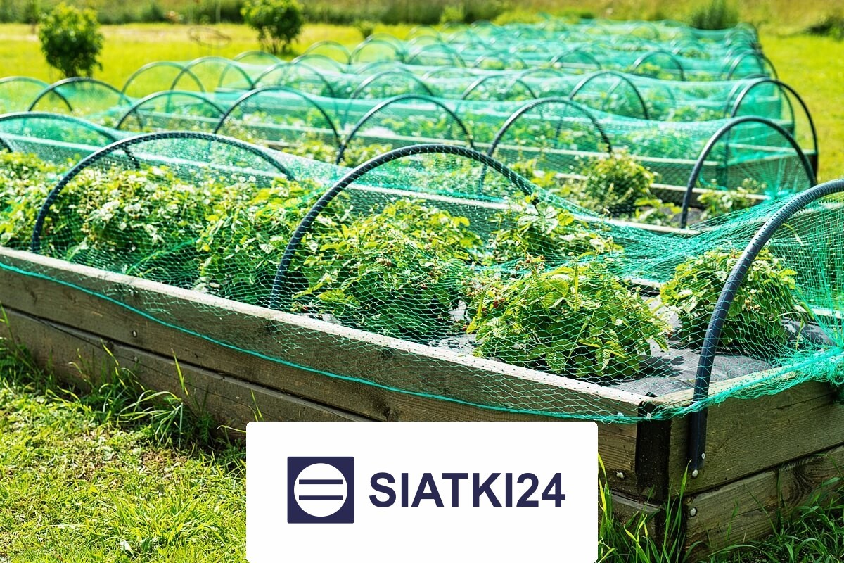   Siatki24.eu - Ogrodzenie grządek podwyższonych do ochrony 