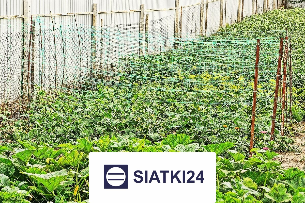   Siatki24.eu - Ogrodzenie grządek podwyższonych podwójnie zabezpieczające — siatka na wymiar 