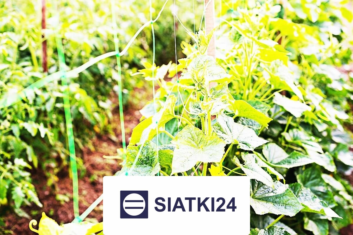 Odpowiednie ogrodzenie grządek podwyższonych to skuteczne rozwiązanie ochronne. Siatki24.eu - Odpowiednie ogrodzenie grządek podwyższonych to skuteczne rozwiązanie ochronne.
