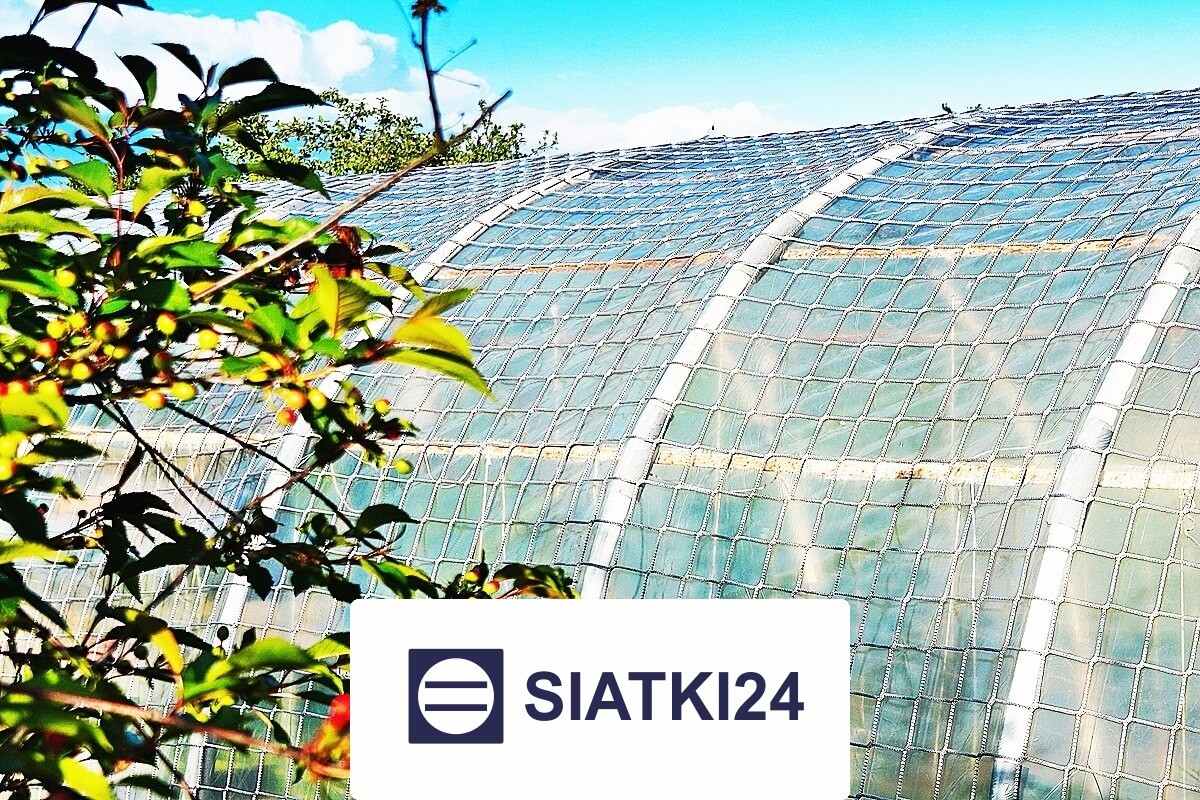   Siatki24.eu - Ogrodzenie grządek podwyższonych do ochrony 