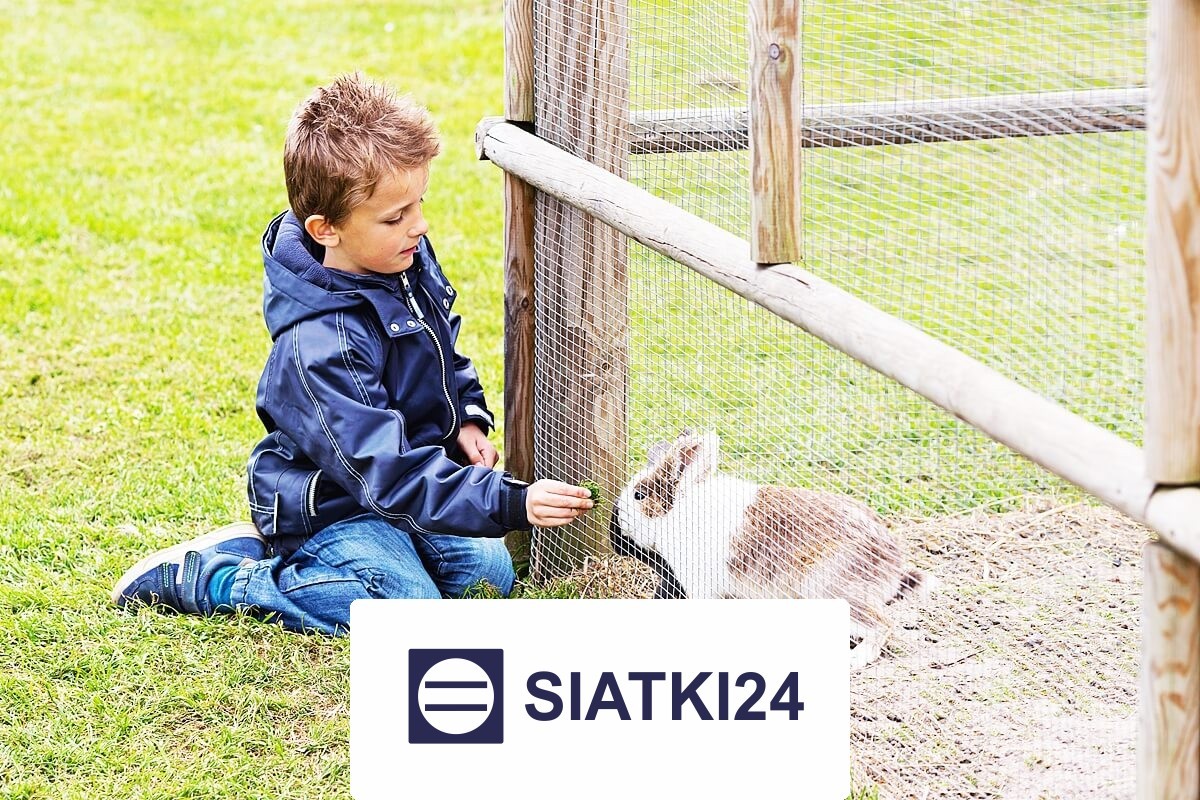Siatka do hodowli królików zabezpieczająca przed ucieczką Siatki24.eu - Siatka do hodowli królików zabezpieczająca przed ucieczką