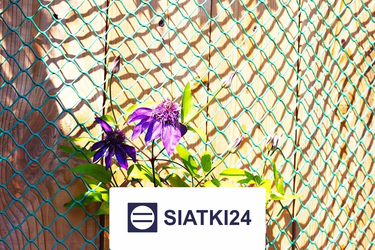   Siatki24.eu - Siatka na ścianę dla roślin – solidne i optymalne rozwiązanie do realizacji pionowych ogrodów w Twoim wnętrzu 