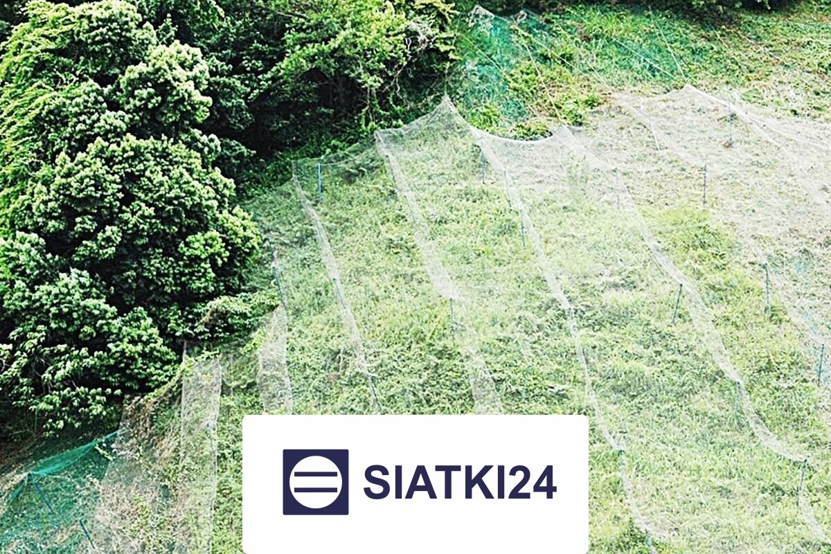 Siatka do hodowli królików zapewniająca zabezpieczenie wybiegu Siatki24.eu - Siatka do hodowli królików zapewniająca zabezpieczenie wybiegu