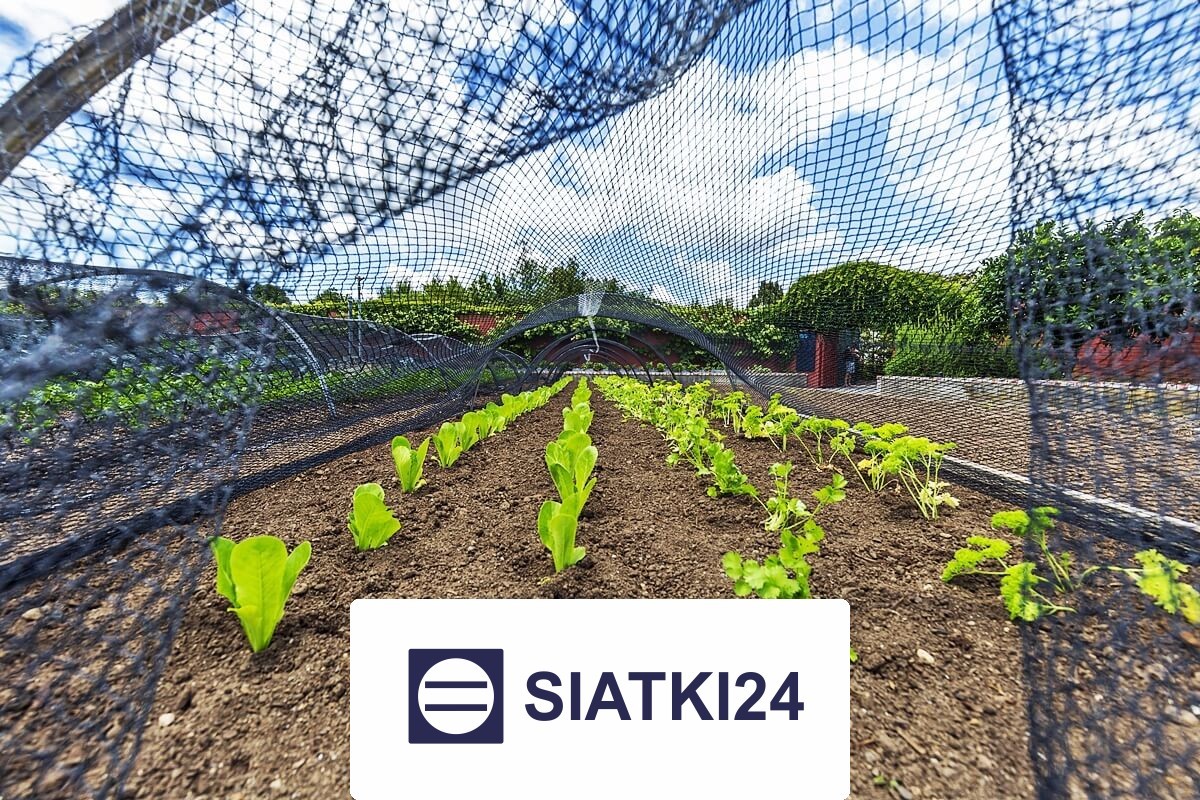 Solidna siatka do ogródka uprawnego o optymalnym przeznaczeniu Siatki24.eu - Solidna siatka do ogródka uprawnego o optymalnym przeznaczeniu