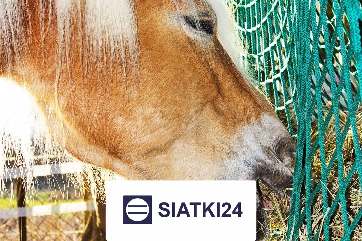 Siatka na siano dla koni z zabezpieczeniem — worek płaski z oczkami 4,5x4,5 cm Siatki24.eu - Siatka na siano dla koni z zabezpieczeniem — worek płaski z oczkami 4,5x4,5 cm