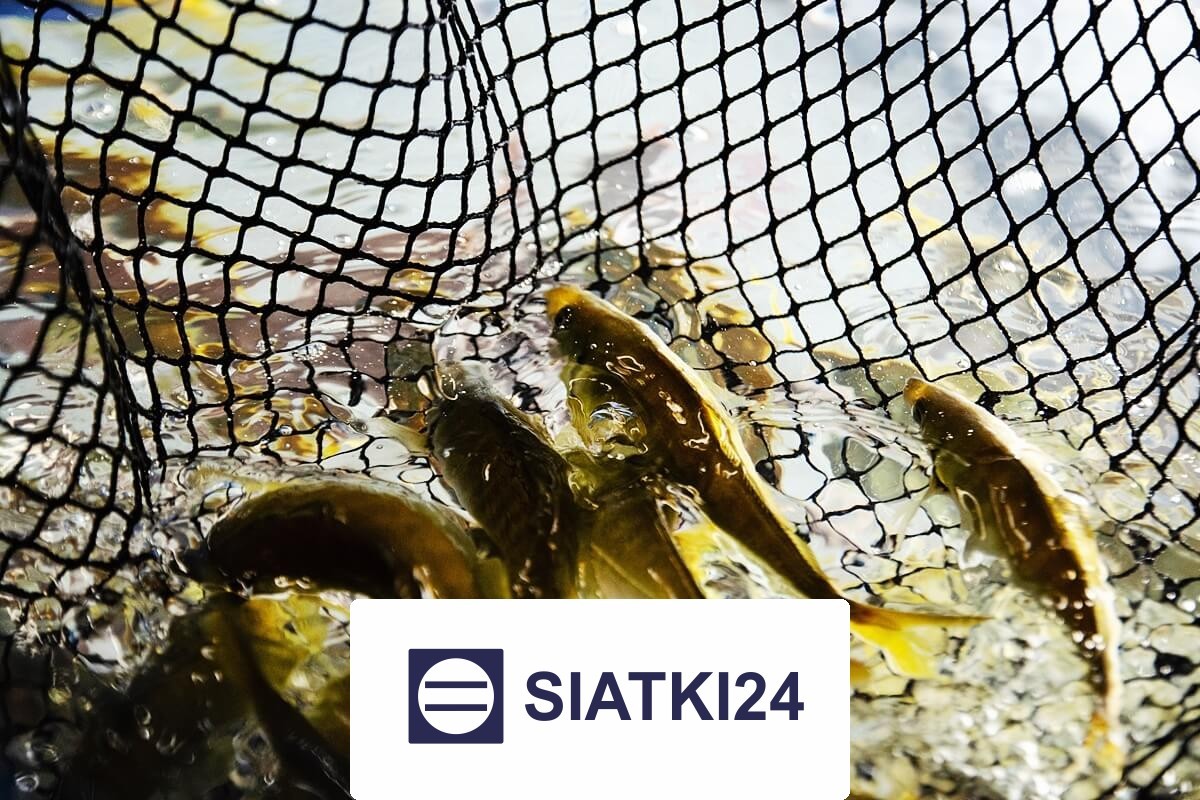 Skuteczna siatka do hodowli ryb jako najlepsze rozwiązanie ochronne Siatki24.eu - Skuteczna siatka do hodowli ryb jako najlepsze rozwiązanie ochronne