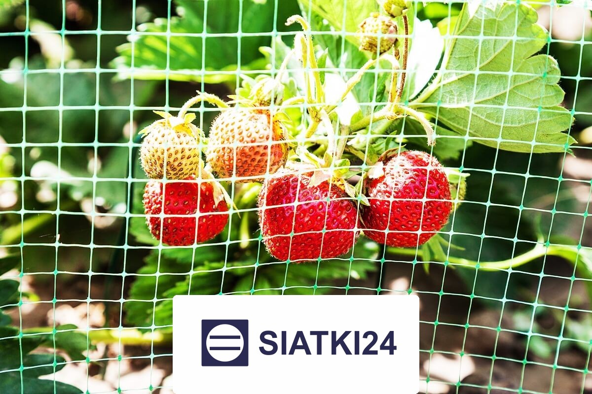 Solidne ogrodzenie grządek podwyższonych, optymalne do zabezpieczenia uprawy. Siatki24.eu - Solidne ogrodzenie grządek podwyższonych, optymalne do zabezpieczenia uprawy.