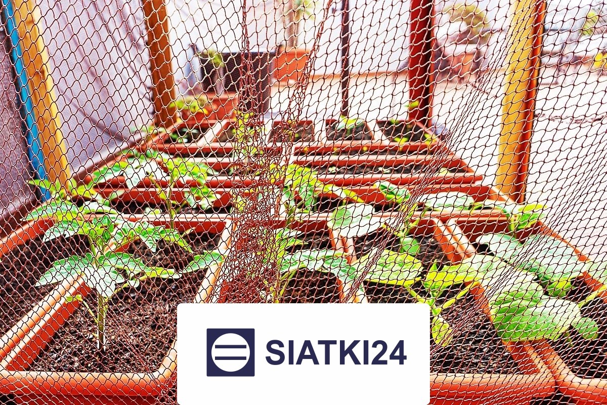   Siatki24.eu - Solidne siatki ochronne do ogrodzenia grządek podwyższonych, wybierane do optymalnego zabezpieczenia ogrodu. 