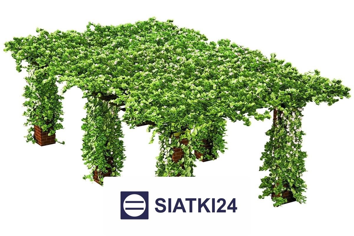   Siatki24.eu - Najlepsze rozwiązanie do budowy trejaży z siatki dla roślin pnących 