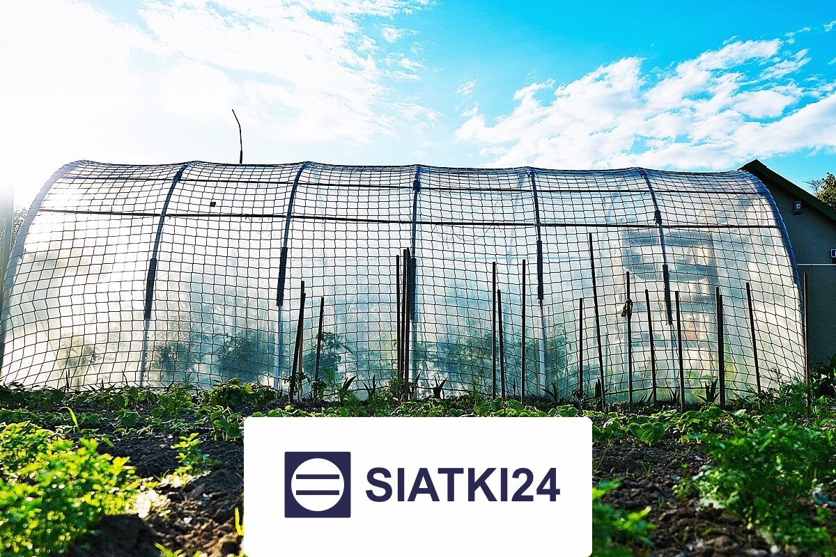   Siatki24.eu - Siatka na tunel foliowy do ochrony przed wichurą — siatka zabezpieczająca na wymiar 