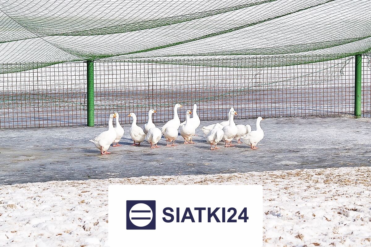 Ogrodzenie dla koni na wymiar, zapewniające najwyższy komfort Siatki24.eu - Ogrodzenie dla koni na wymiar, zapewniające najwyższy komfort