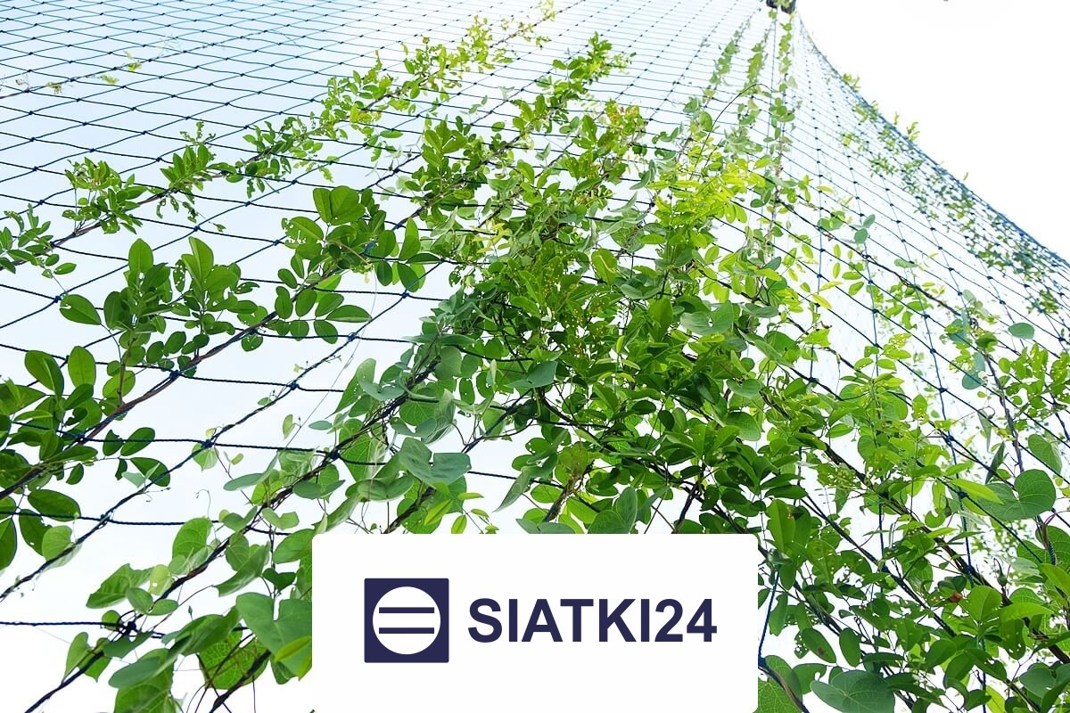   Siatki24.eu - Budowa trejaży z siatki na wymiar 