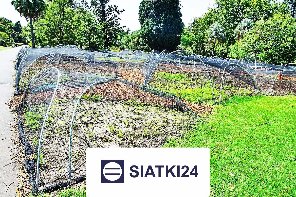 Najlepsze ogrodzenie grządek podwyższonych - skuteczne i wytrzymałe rozwiązanie ochronne Siatki24.eu - Najlepsze ogrodzenie grządek podwyższonych - skuteczne i wytrzymałe rozwiązanie ochronne