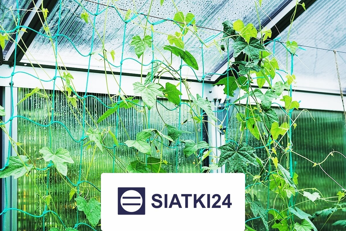 Odpowiednie ogrodzenie grządek podwyższonych to skuteczne rozwiązanie ochronne. Siatki24.eu - Odpowiednie ogrodzenie grządek podwyższonych to skuteczne rozwiązanie ochronne.