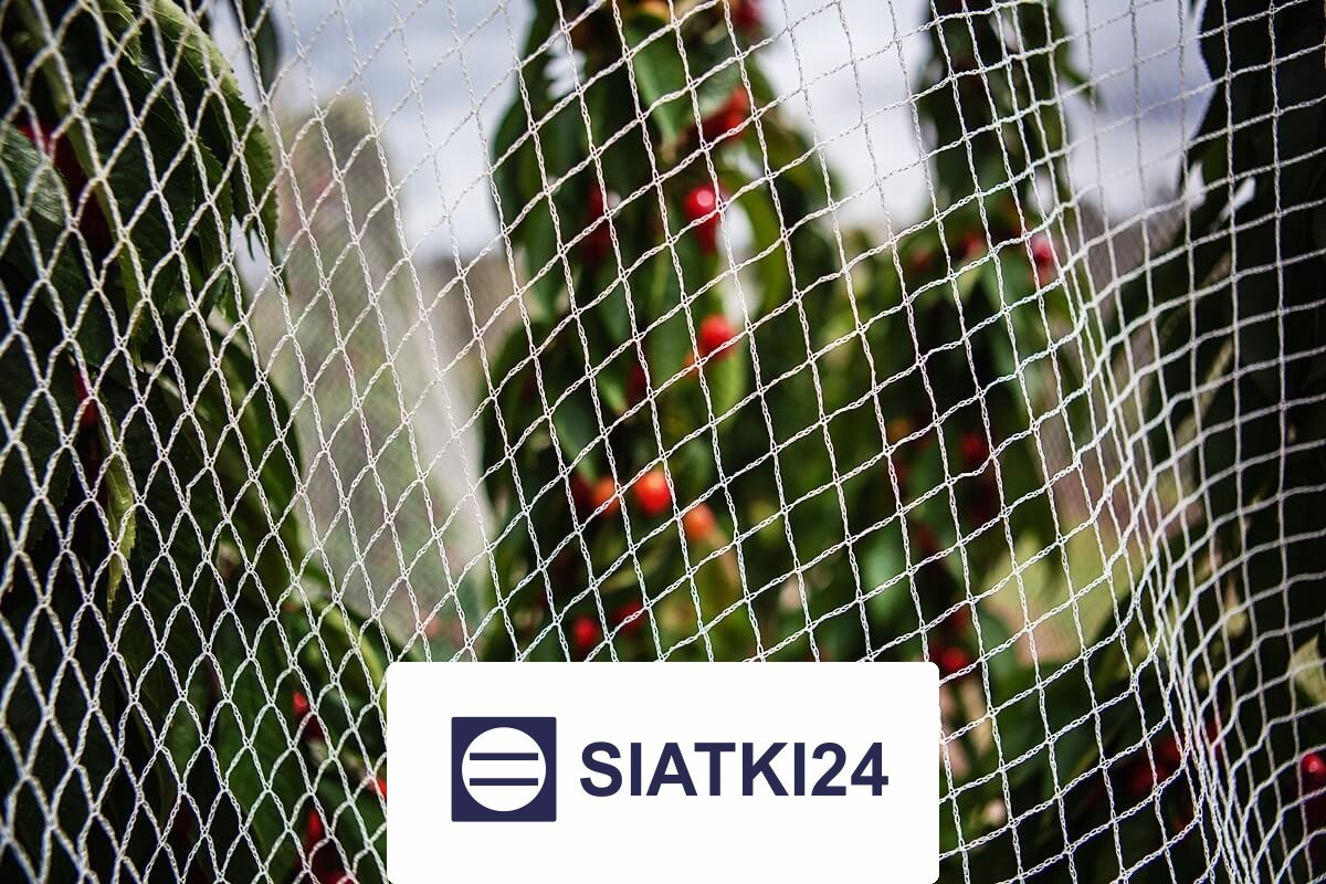 Siatka do ogródka uprawnego na wymiar, zapewniająca ochronę roślin Siatki24.eu - Siatka do ogródka uprawnego na wymiar, zapewniająca ochronę roślin