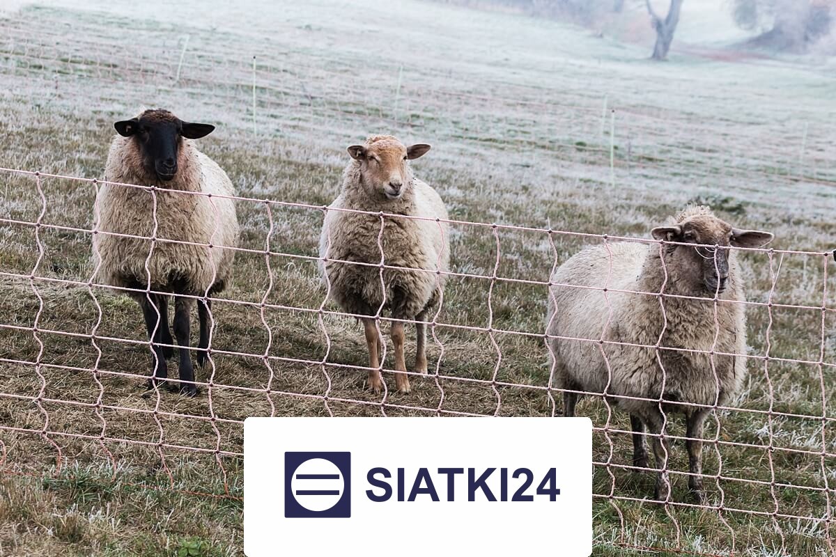 Siatki do hodowli – solidne i odporne rozwiązanie do zabezpieczania zwierząt oraz ptaków, wybierane ze względu na trwałość i opt Siatki24.eu - Siatki do hodowli – solidne i odporne rozwiązanie do zabezpieczania zwierząt oraz ptaków, wybierane ze względu na trwałość i opt