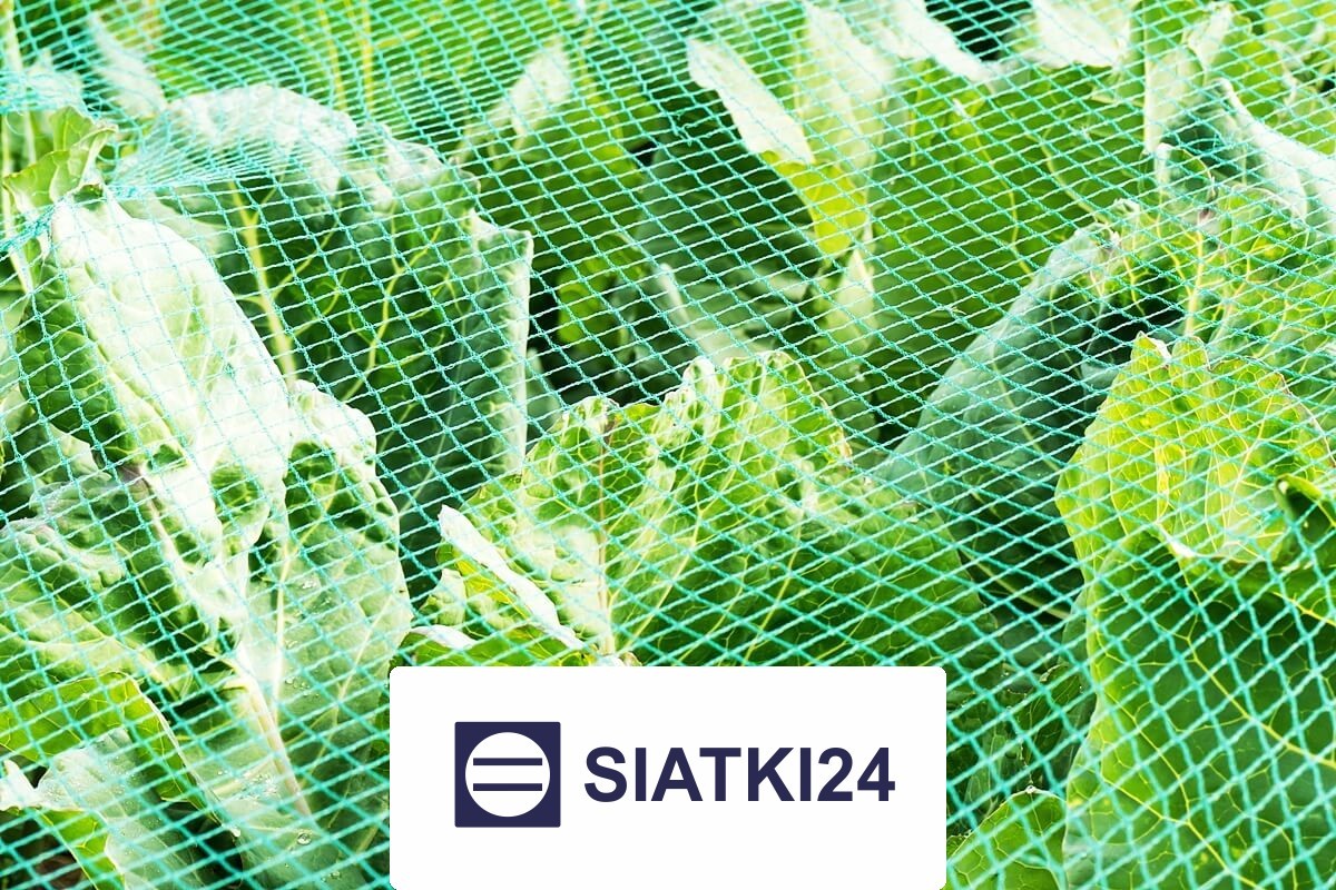 Solidna siatka do ogródka uprawnego, wybierana do zabezpieczania roślin w warzywniku Siatki24.eu - Solidna siatka do ogródka uprawnego, wybierana do zabezpieczania roślin w warzywniku