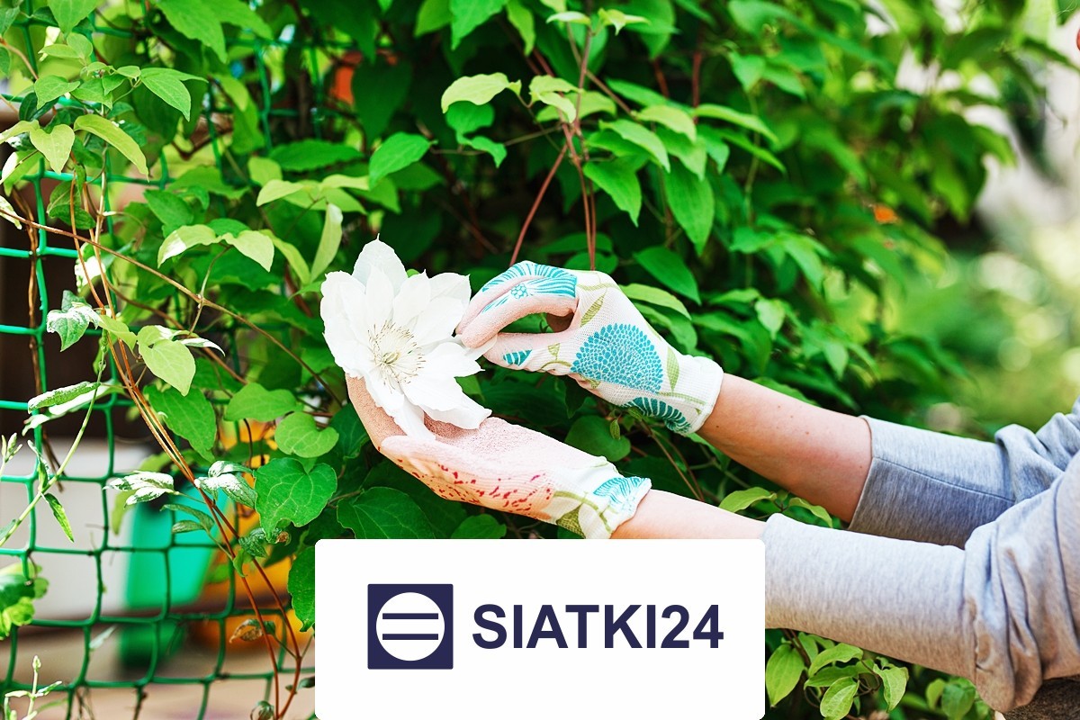 Siatka do ogrodu domowego, wykonana jako siatka ochronna z sznurków, dostępna na wymiar Siatki24.eu - Siatka do ogrodu domowego, wykonana jako siatka ochronna z sznurków, dostępna na wymiar