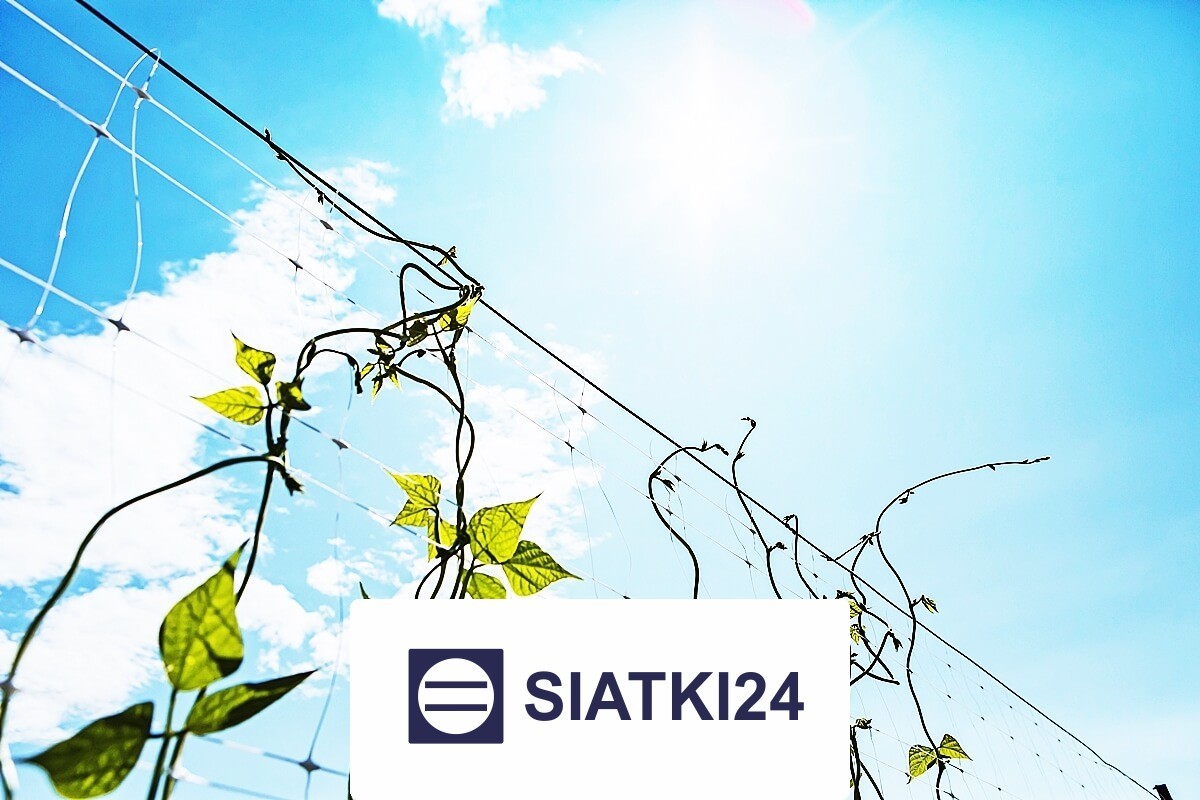 Ogrodzenie grządek podwyższonych do zabezpieczenia roślin Siatki24.eu - Ogrodzenie grządek podwyższonych do zabezpieczenia roślin