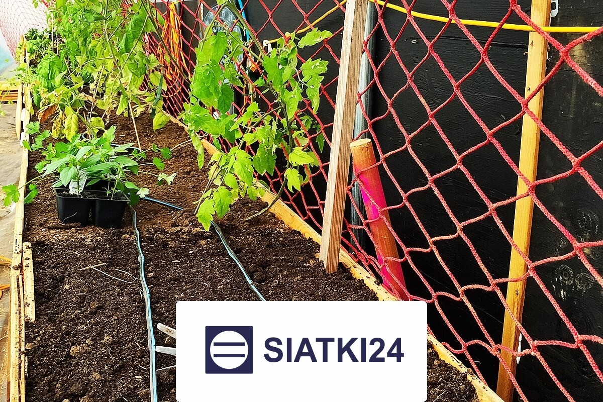   Siatki24.eu - Siatka na ścianę dla roślin – solidne i niedrogie wykonawstwo Twojego zielonego arcydzieła 