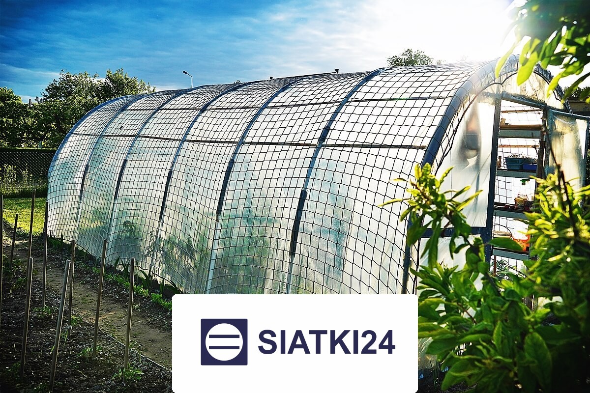   Siatki24.eu - Siatka na tunel foliowy na wymiar — skuteczna ochrona przed wiatrem 
