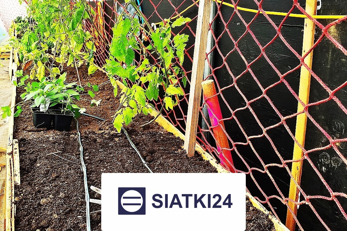   Siatki24.eu - Solidne siatki do ogrodzenia grządek podwyższonych, optymalne i trwałe w niskiej cenie. 