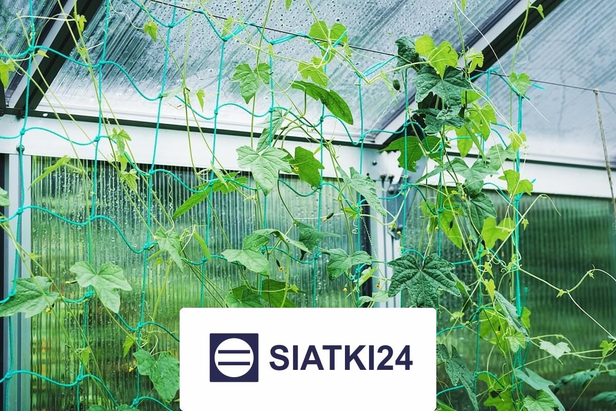   Siatki24.eu - Siatka na ścianę dla roślin do zabezpieczenia pnączy 