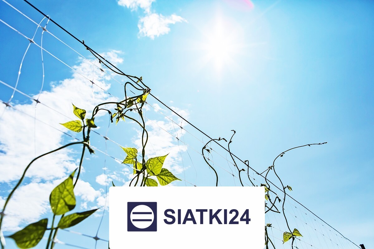   Siatki24.eu - Siatka na ścianę dla roślin, sznurkowa, elastyczna, na wymiar 